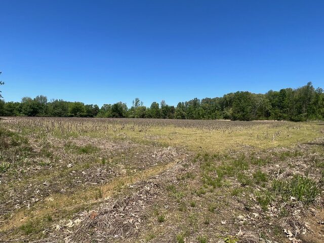 27 Acres Sycamore