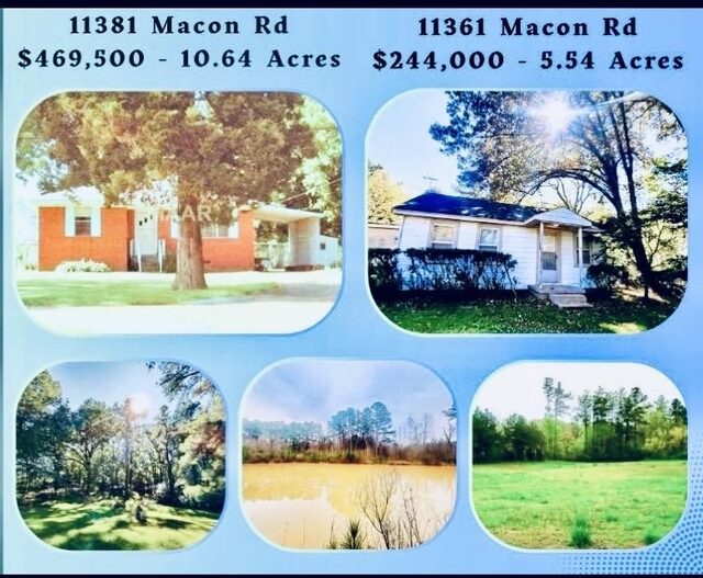 11381 Macon