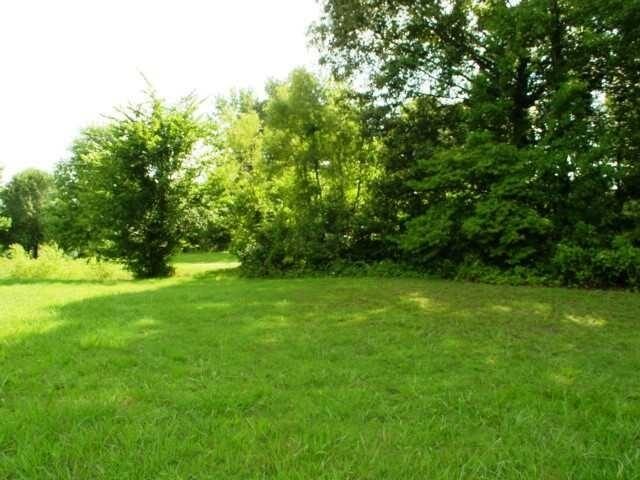 0 Catalpa