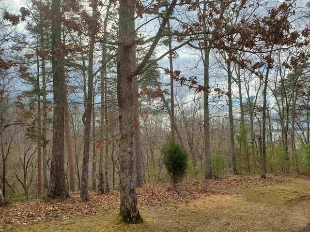Lot 223 Ridgeview