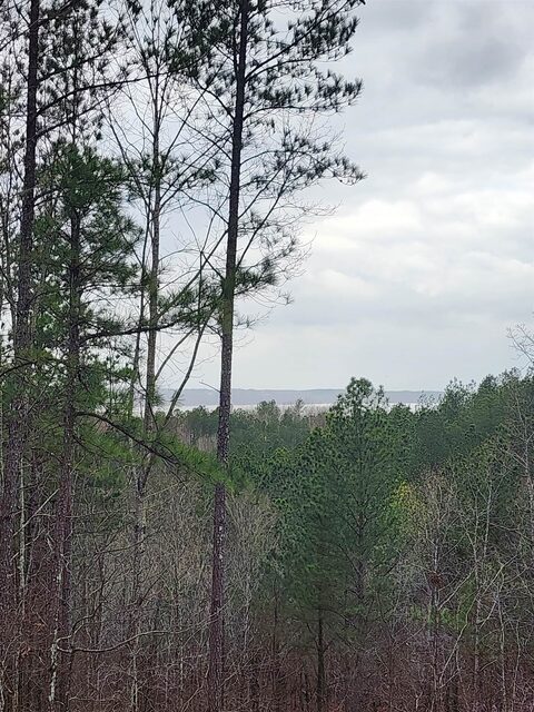 Lot #5 Eagle Point