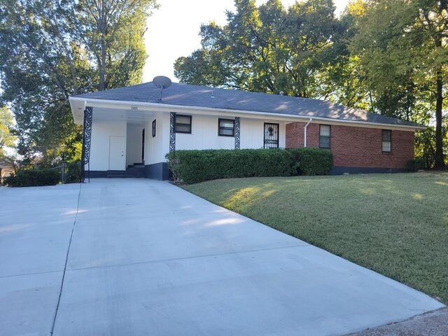 1185 Timothy