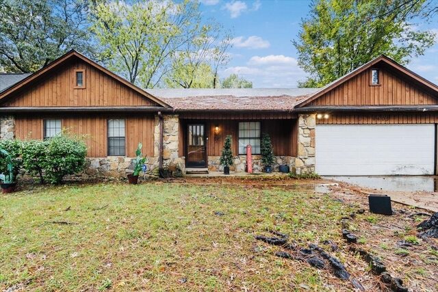 6605 Red Birch