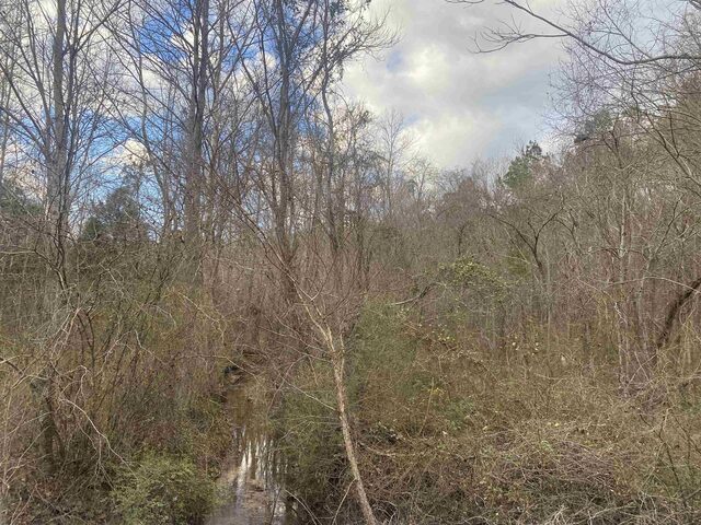 8 Rose Creek