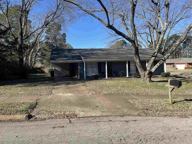 3969 Trezevant