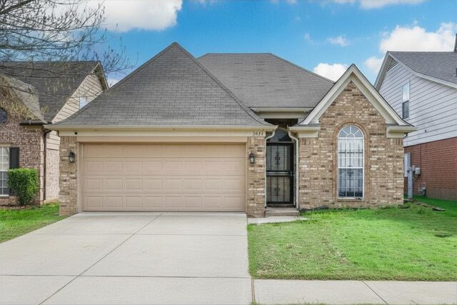 2034 Olive Bark