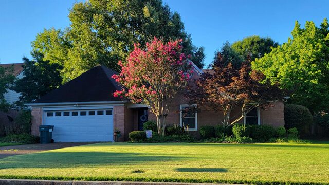 8675 Sandy Hill
