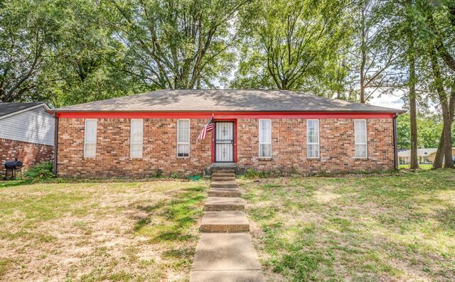 5627 Tulip Tree