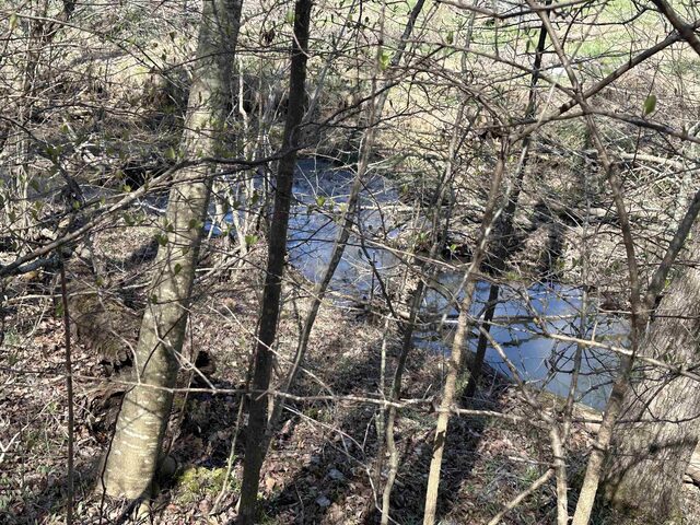 00 Poplar Springs