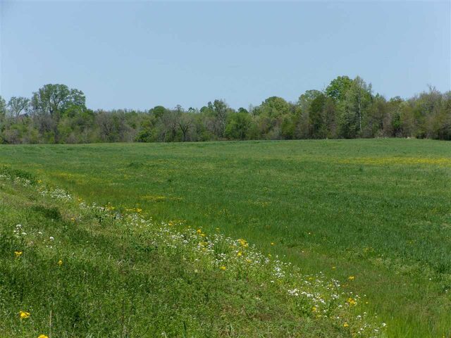 000 Lovelace Crossing