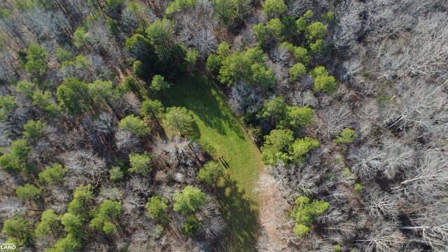 61 Co Rd 650