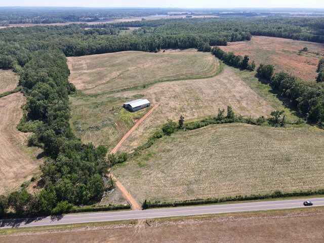 1 Saltillo