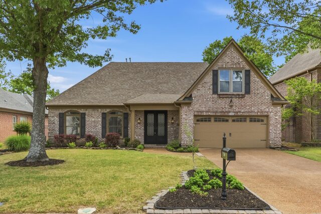 536 Warwick Willow