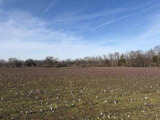 353 Cotton Grove