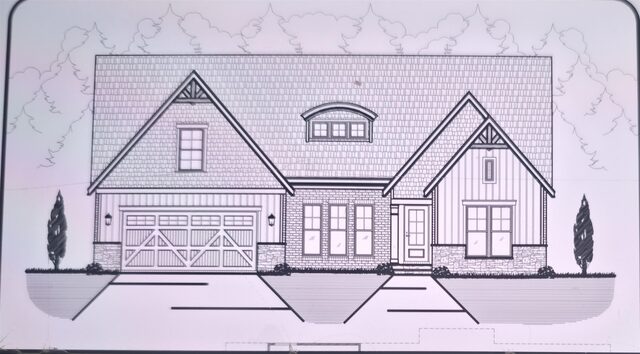 8215 Shady Fern