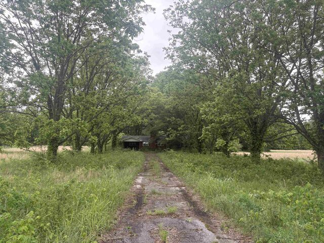 3948 Hwy 59