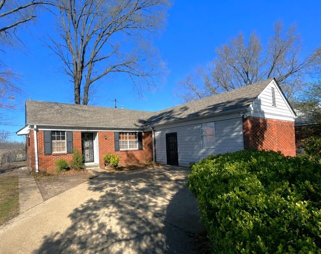 3131 Curtis