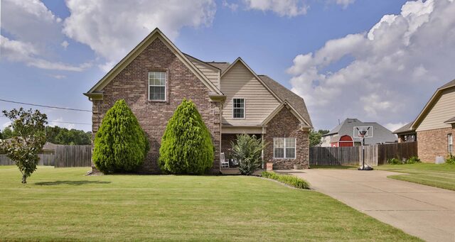 342 Switchgrass