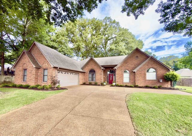308 Marci