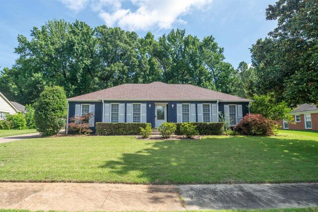6102 Sugar Tree
