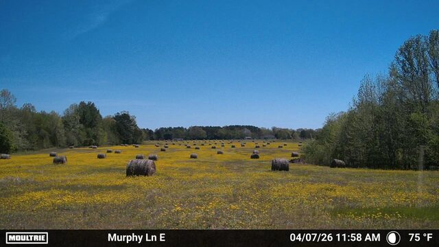 980 Murphy