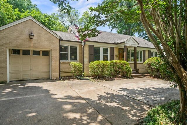 3627 Mimosa