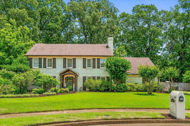1378 Pine Bark