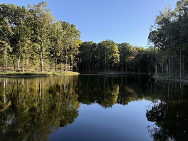9221 Collierville-Arlington