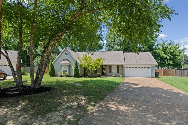 779 Dogwood