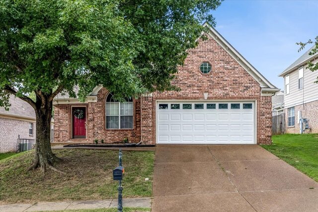 2724 Green Turtle