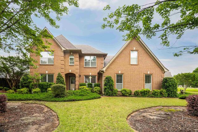 3446 Wolf Spring