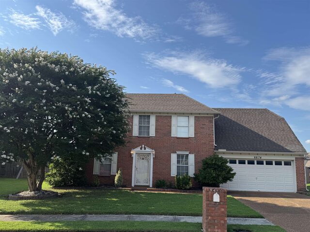 6674 Olivia Forest