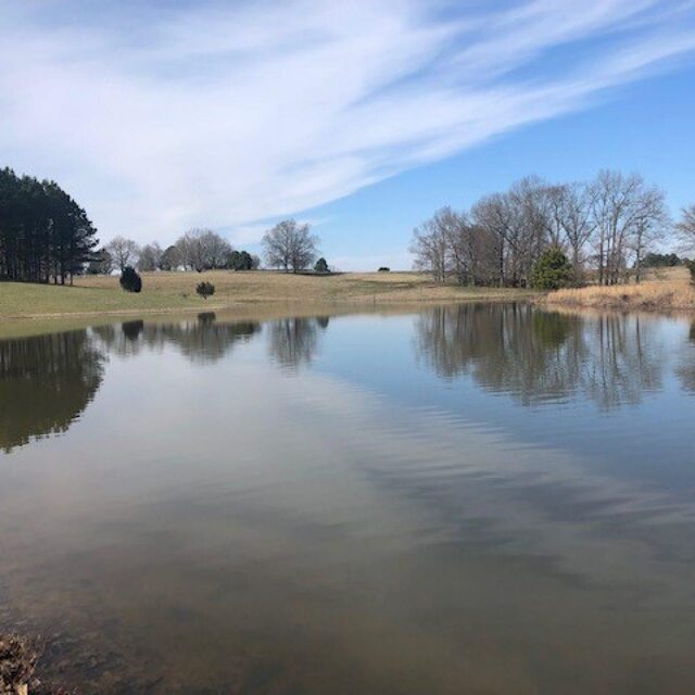 45 Belle Farms