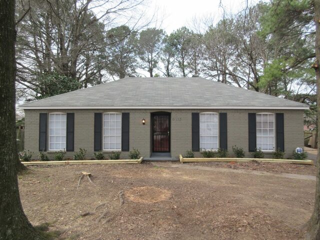 6133 Lacewood