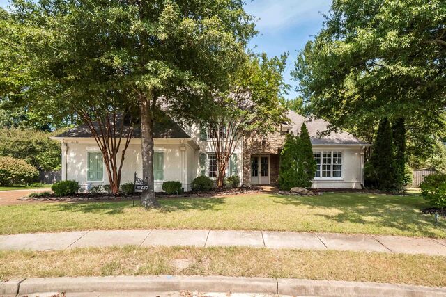 10230 Mackwood