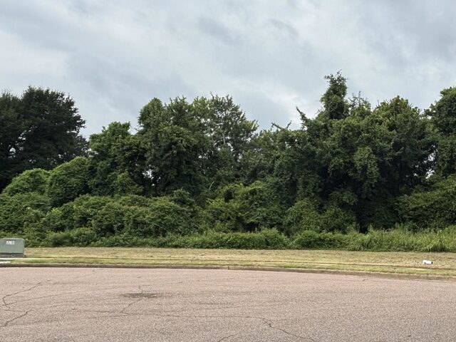 5041 Carterville