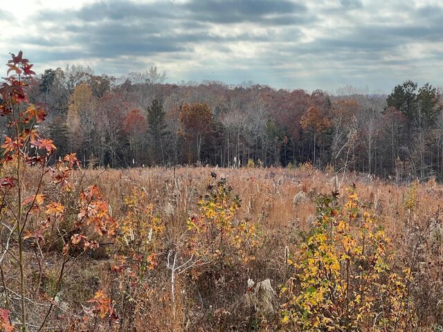 Tract 4 Old State Hwy 69
