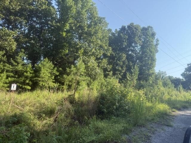 Tract 1 Belew Hollow Hill