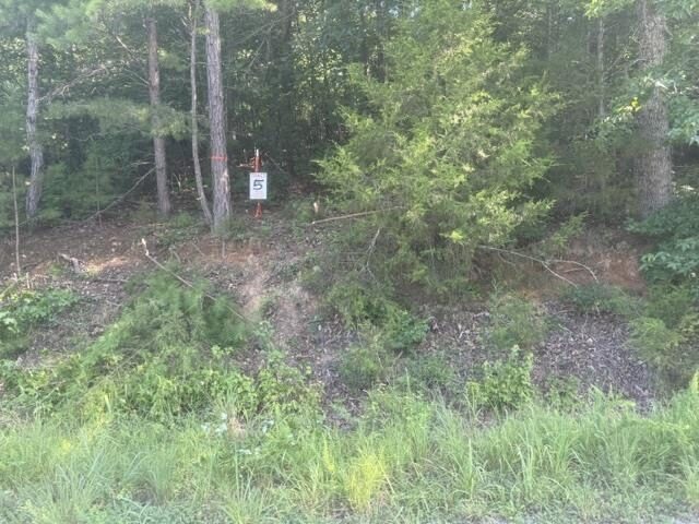Tract 5 Carroll Hollow