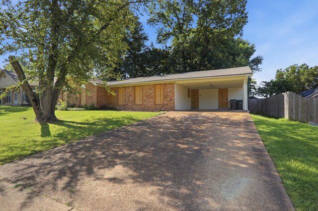 5697 Tulip Tree