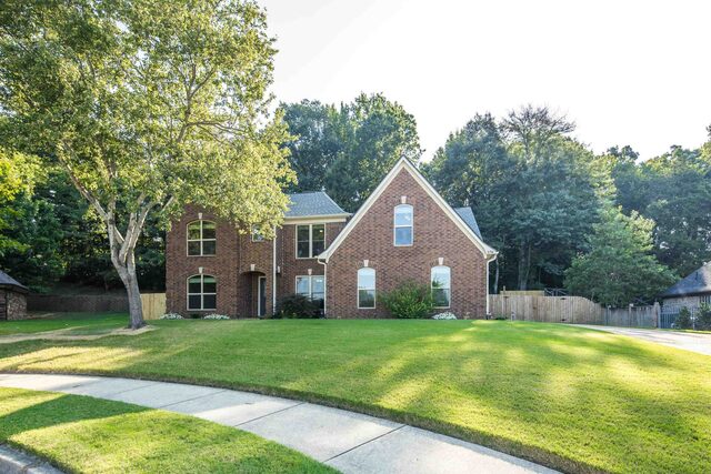 5788 Berry Patch