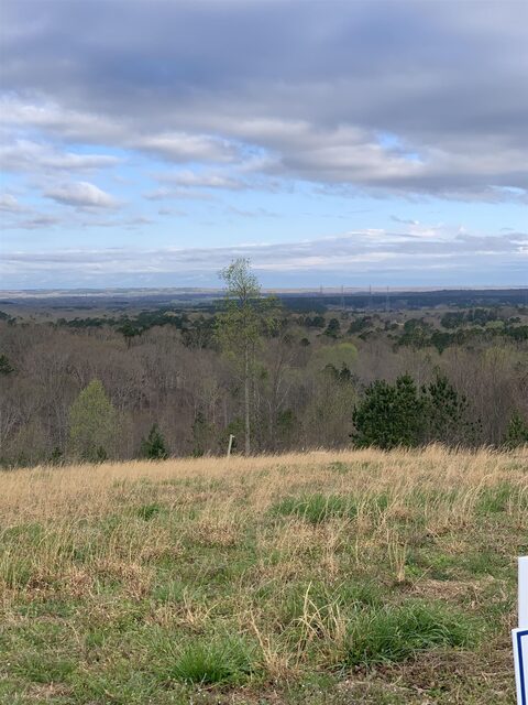 Turkey Knob