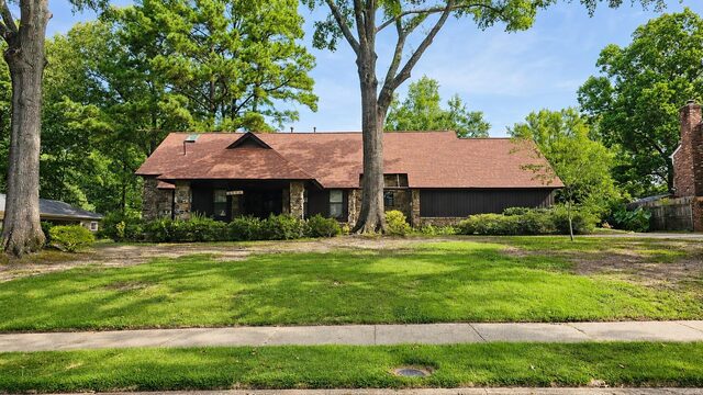 6908 Silver Maple