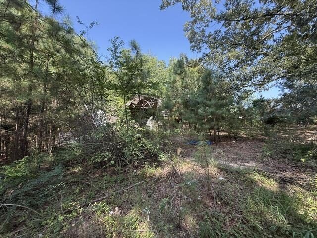 6555 Rabbit Creek