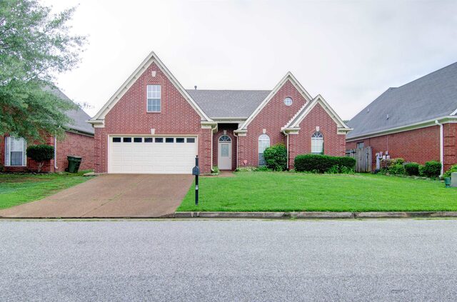 2613 Wood Sage