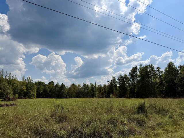 3592 Rose Creek