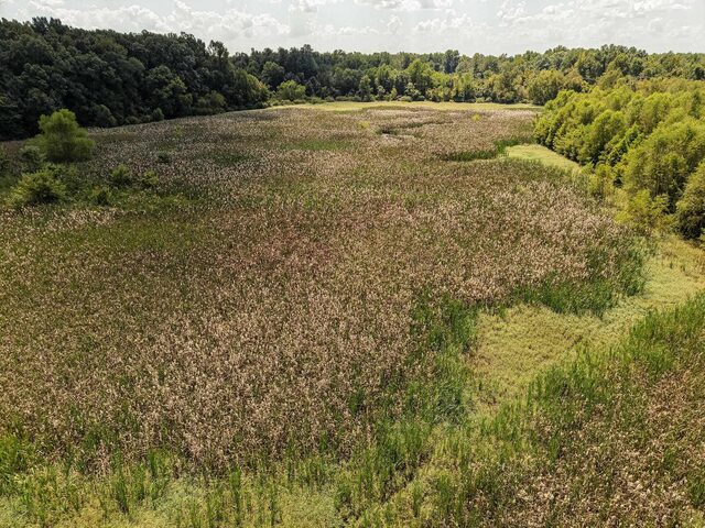 00 Galloway Levee