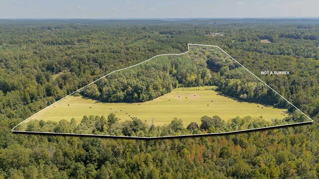 00 Beauty Hill