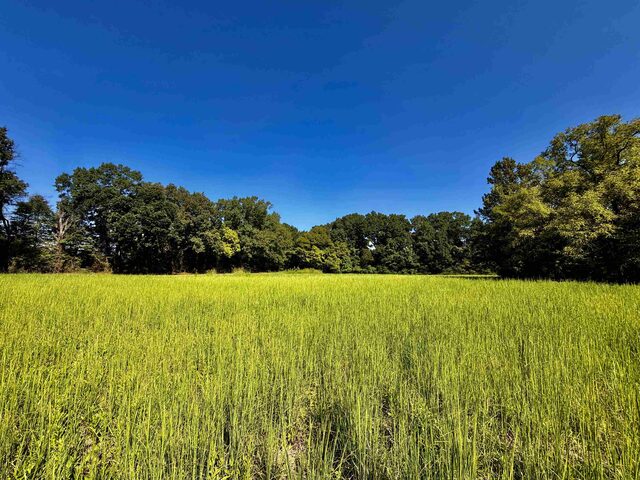 21.10 Acres Terry