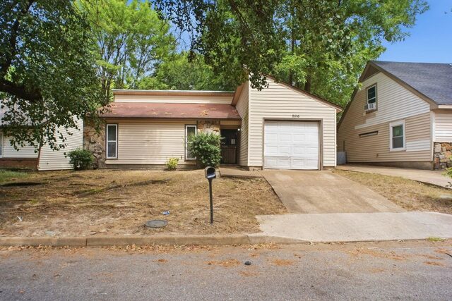 5616 Maple Tree